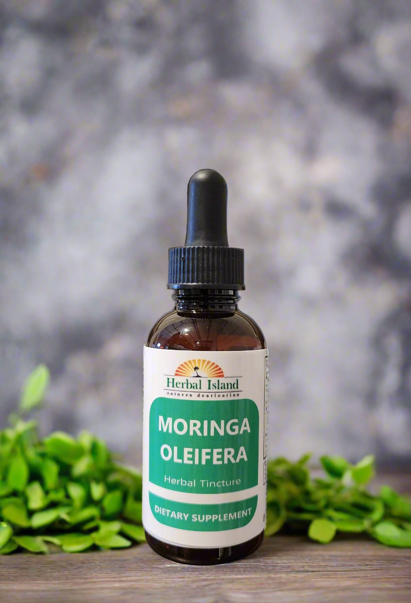 Moringa Oleifera Tincture - Herbal Island