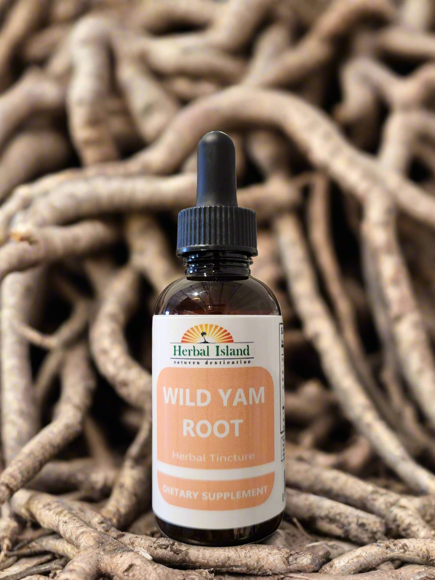 Wild Yam Tincture - Alcohol Free - Herbal Island