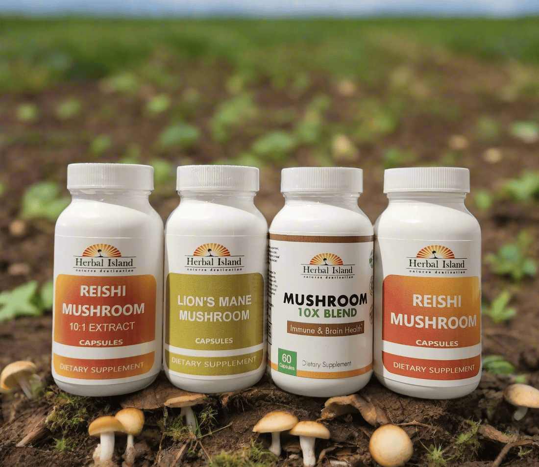 Mushroom Bundle (4 Products) - Herbal Island