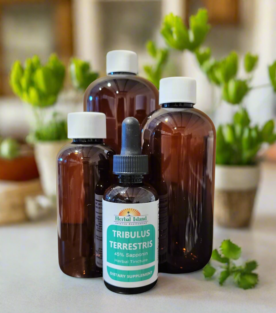 Tribulus Terrestris L Fruit Tincture - 45% Saponins (Alcohol Free) - Herbal Island