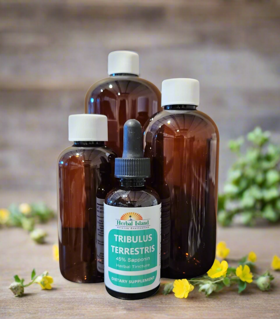 Tribulus Terrestris L Fruit Tincture - 45% Saponins (Alcohol Free) - Herbal Island