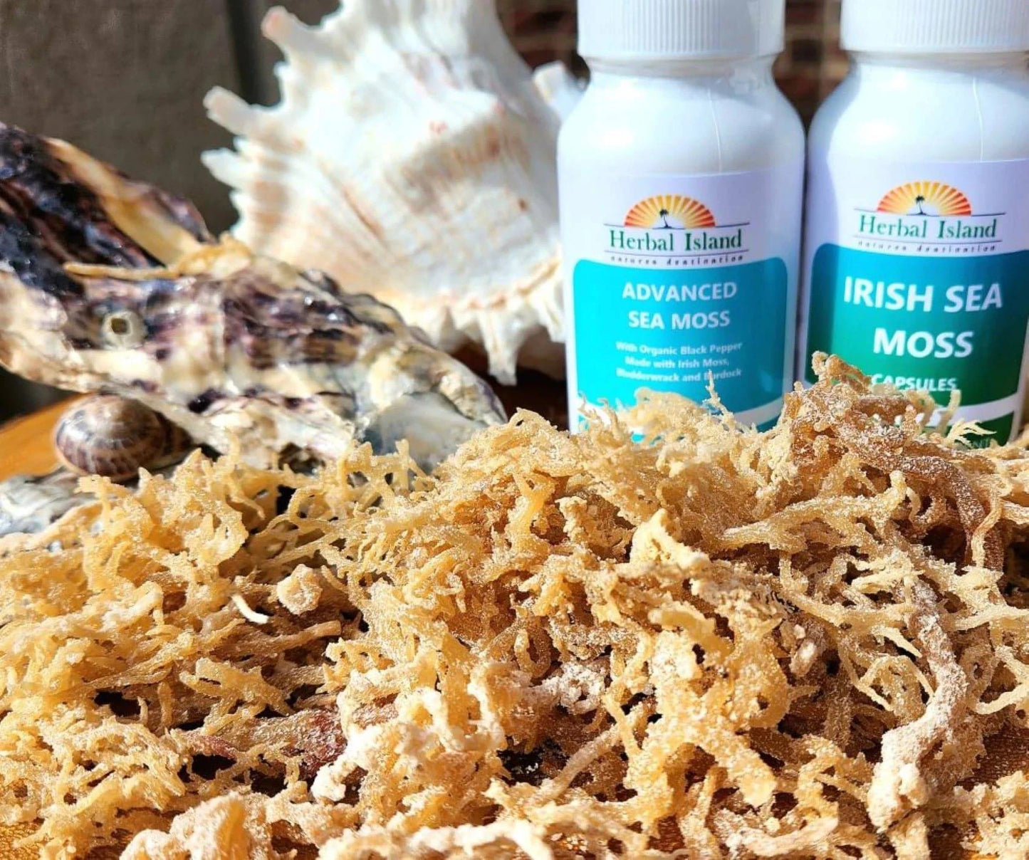 Irish Sea Moss Bundle - Herbal Island