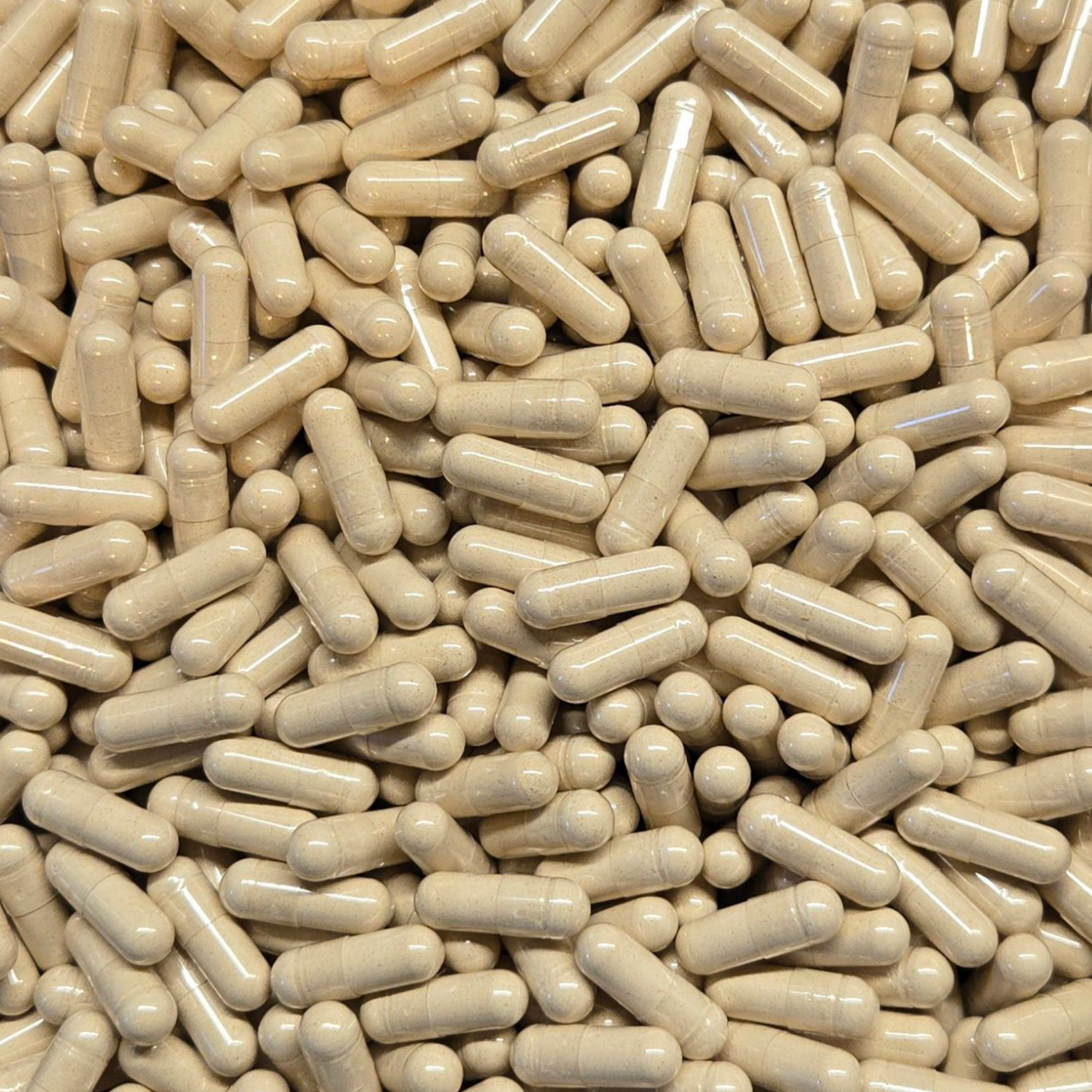 Organic Ashwagandha capsules by Herbal Island, bulk supplement in clear capsules showing the herbal powder inside.
