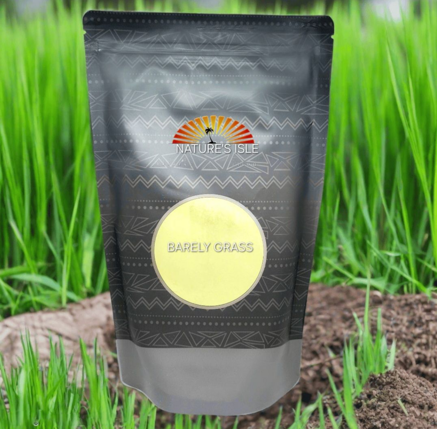 Barley Grass Powder - Organic (Hordeum Vulgare) - Herbal Island