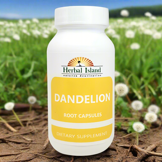 Dandelion Root Powder Capsules (500mg) - Herbal Island