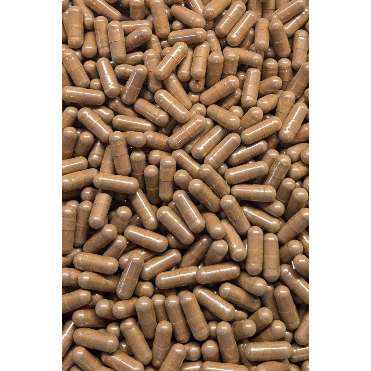 Herbal Island Reishi Mushroom Capsules (Ganoderma lucidum) in a clear bottle, showing dark capsule contents and label.