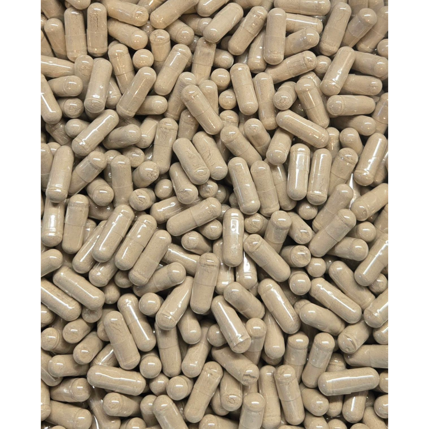 Advanced Sea Moss Capsules