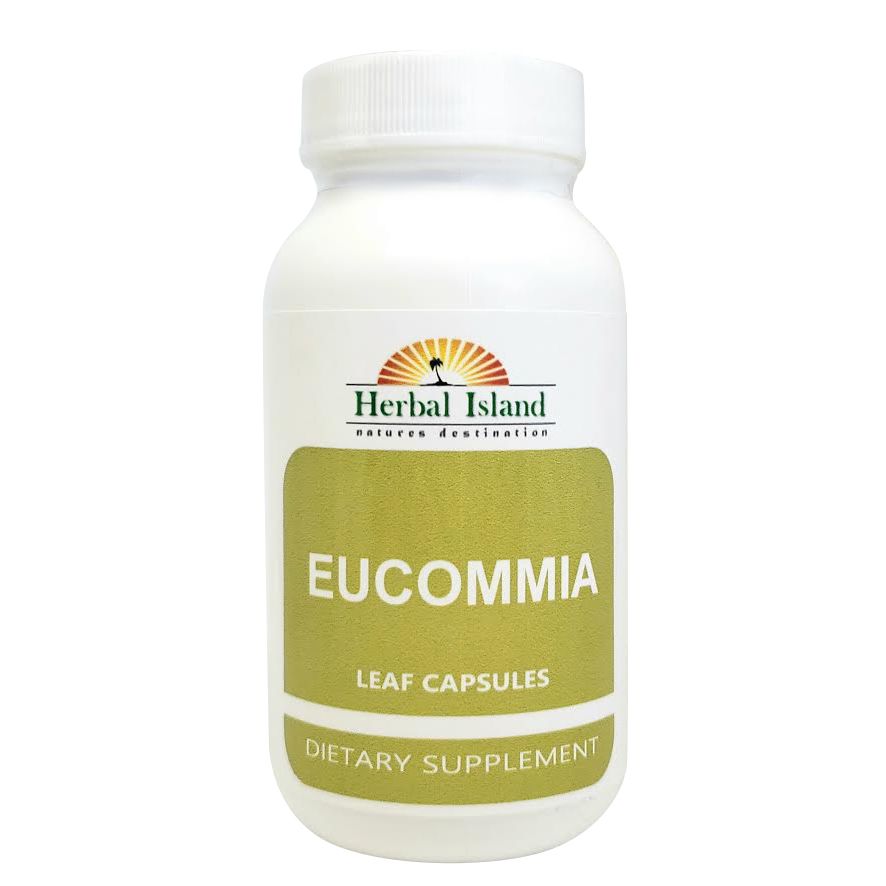 Eucommia Leaf Powder Capsules (500mg Each) - Herbal Island
