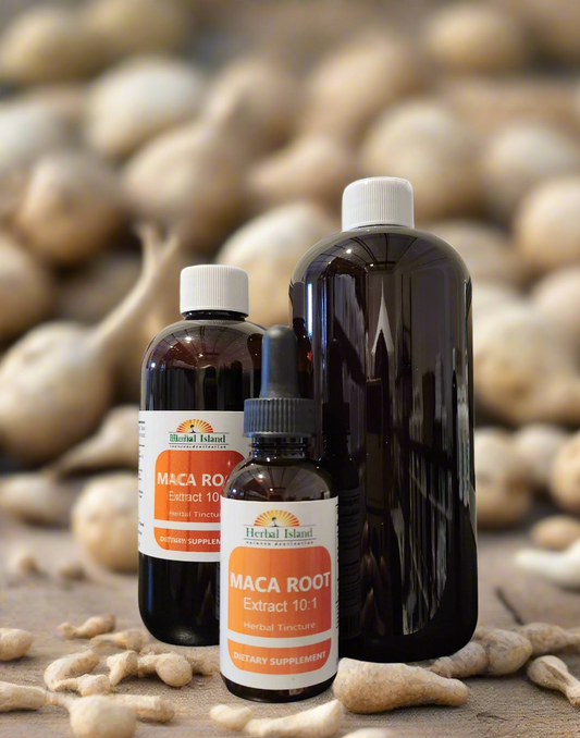 Maca Root Extract 10:1 Tincture (Alcohol Free) - Herbal Island