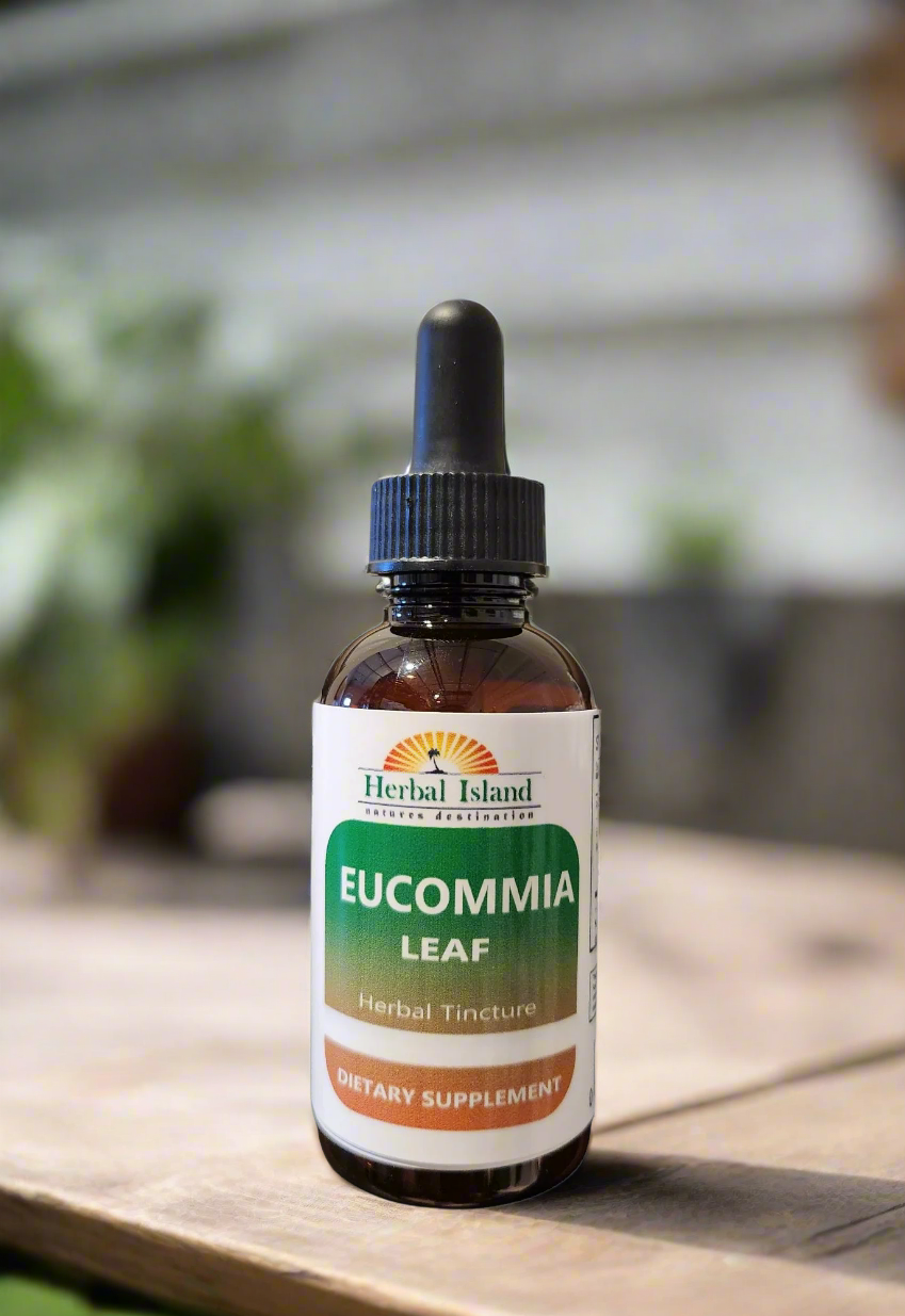 Eucommia Tincture - Herbal Island