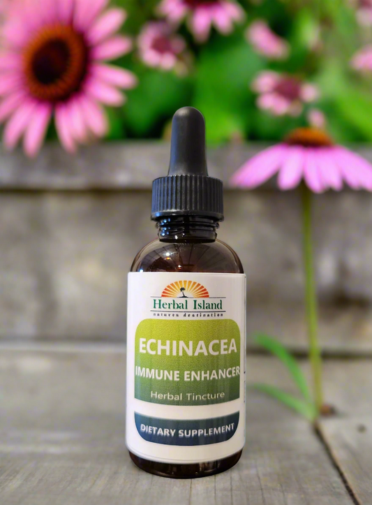 Echinacea Herb Extract -  Immune Support for Cold & Flu - Alcohol Free - Herbal Island