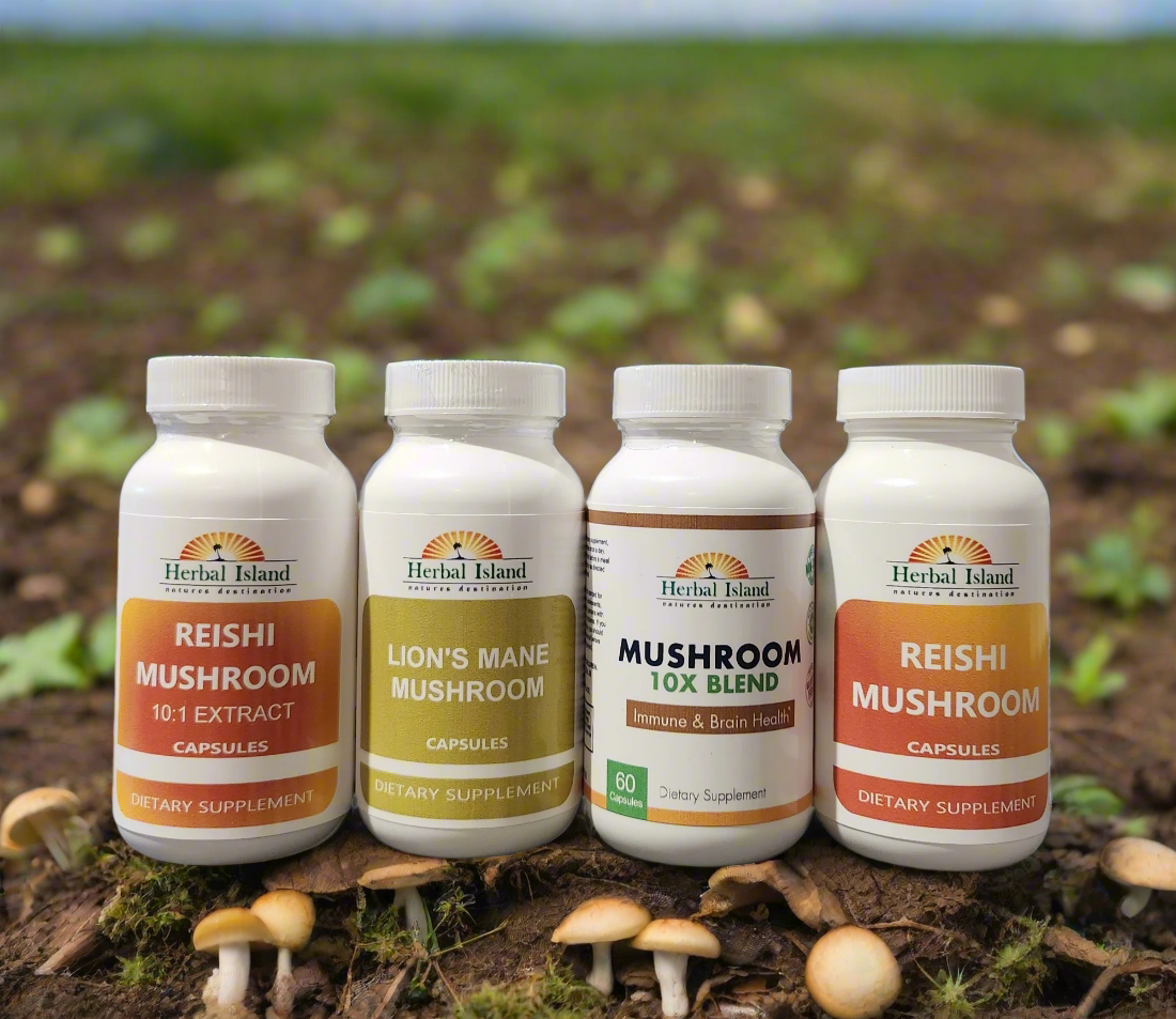 Mushroom Bundle (4 Products)