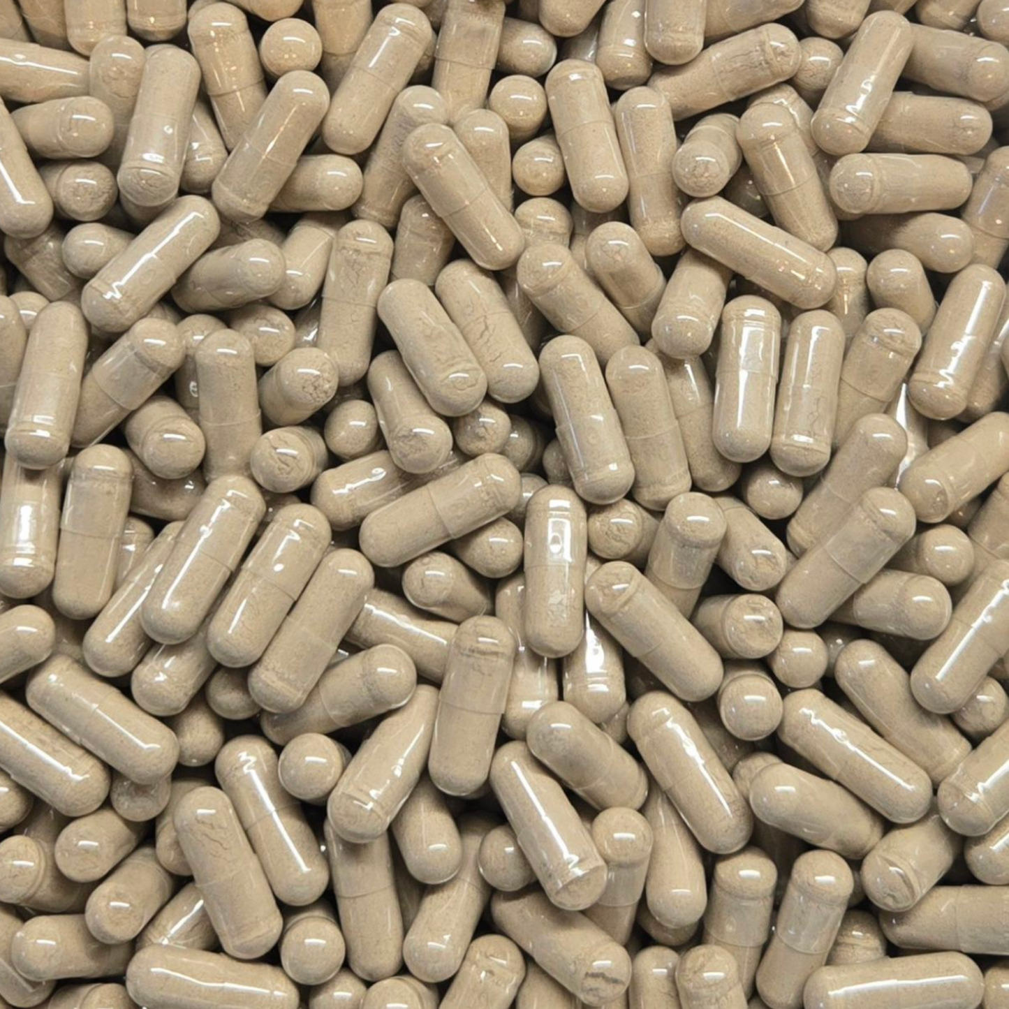 Advanced Sea Moss Capsules Bulk