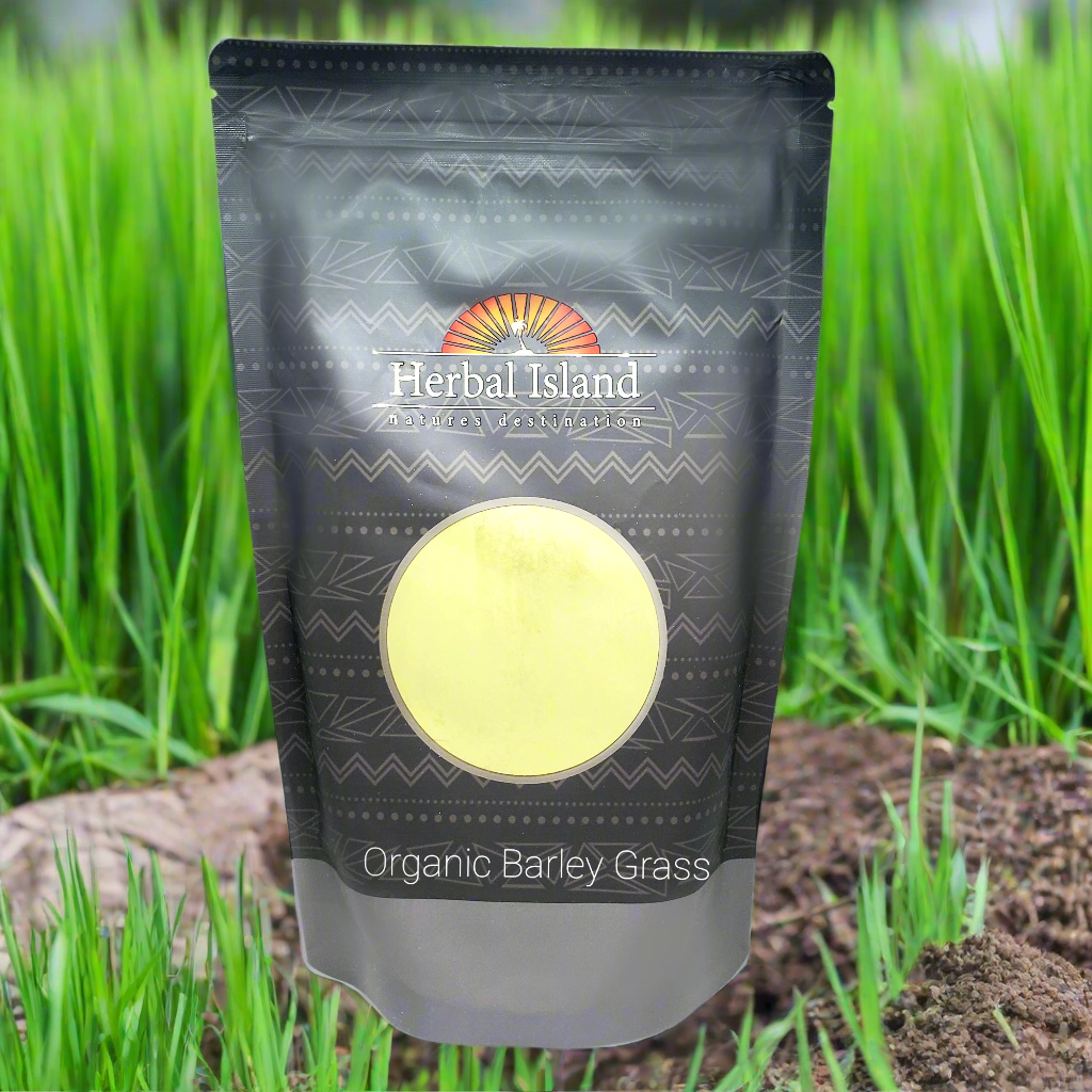 Barley Grass Powder - Organic (Hordeum Vulgare) - Herbal Island