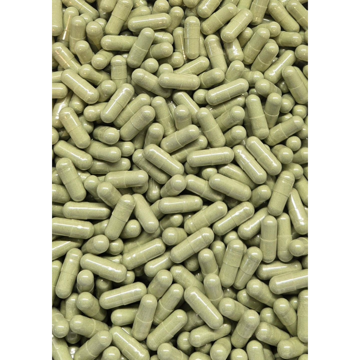 Barley Grass Capsules - Organic - Bulk