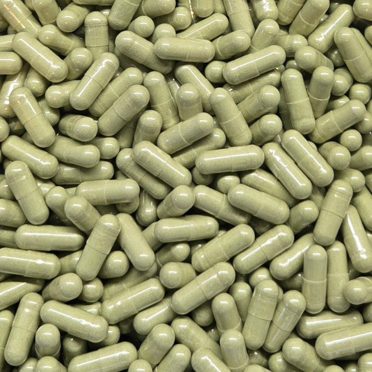 Barley Grass Capsules - Organic - Bulk