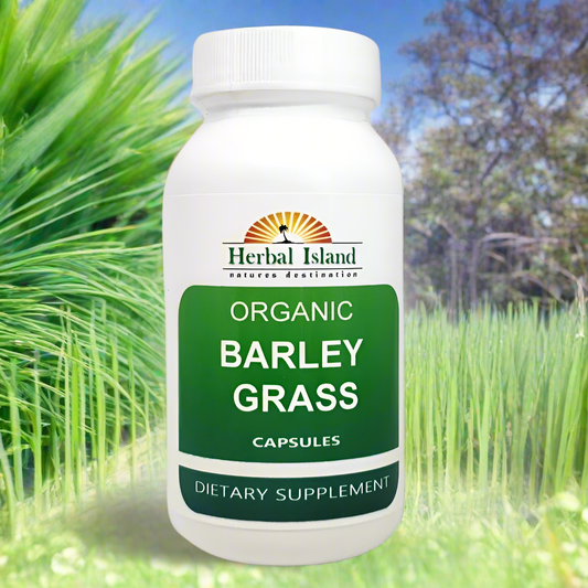 Barley Grass Powder - Organic - Capsules - Herbal Island