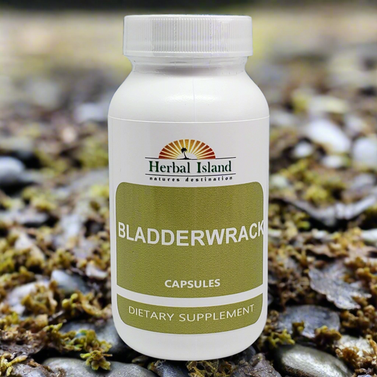 Bladderwrack Capsules - Herbal Island