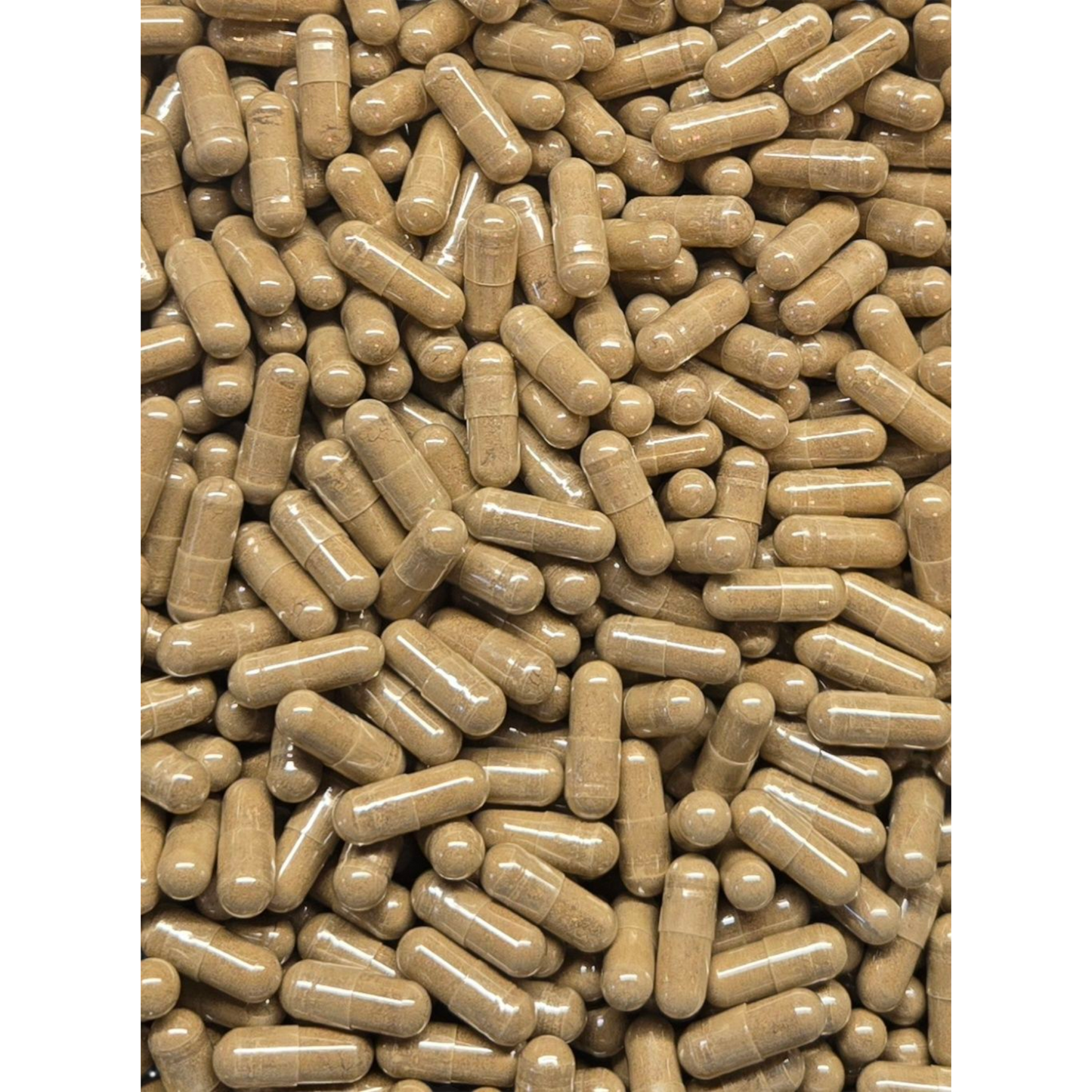 Caralluma Fimbriata Capsules - Bulk