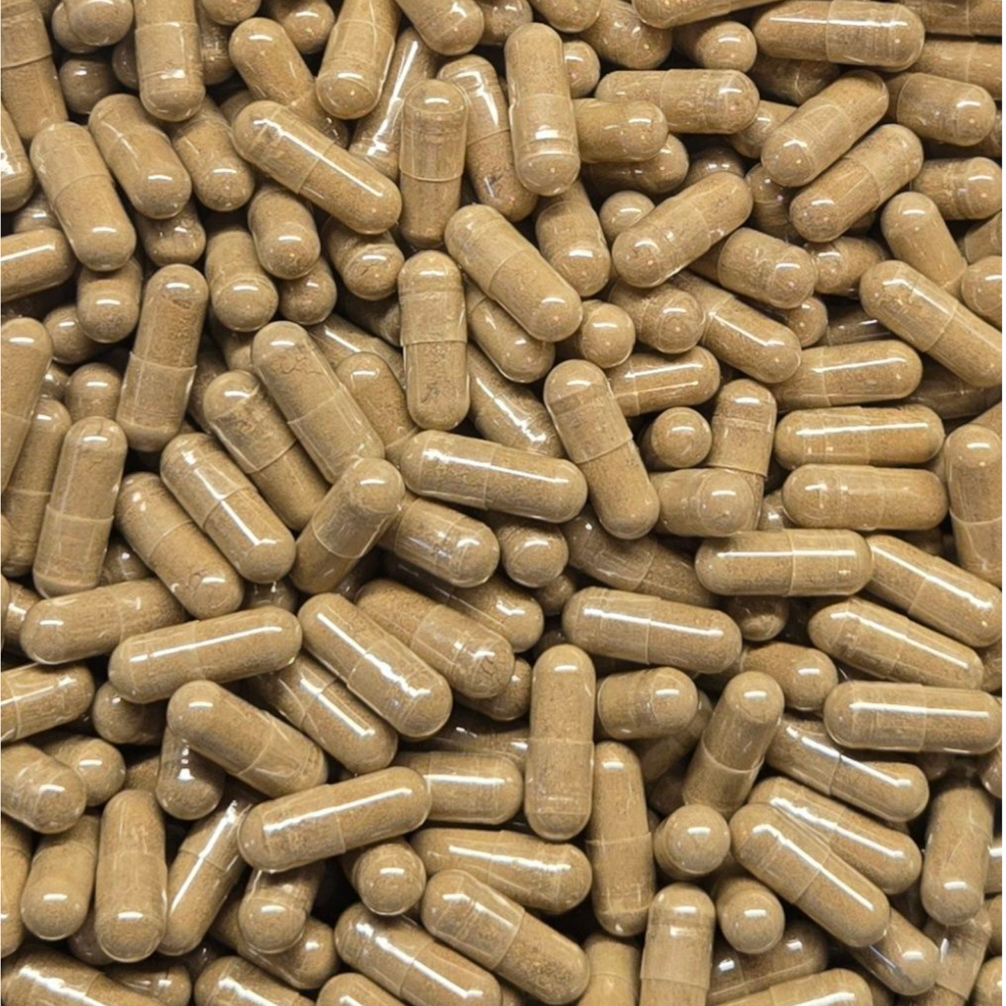 Caralluma Fimbriata Capsules - Bulk