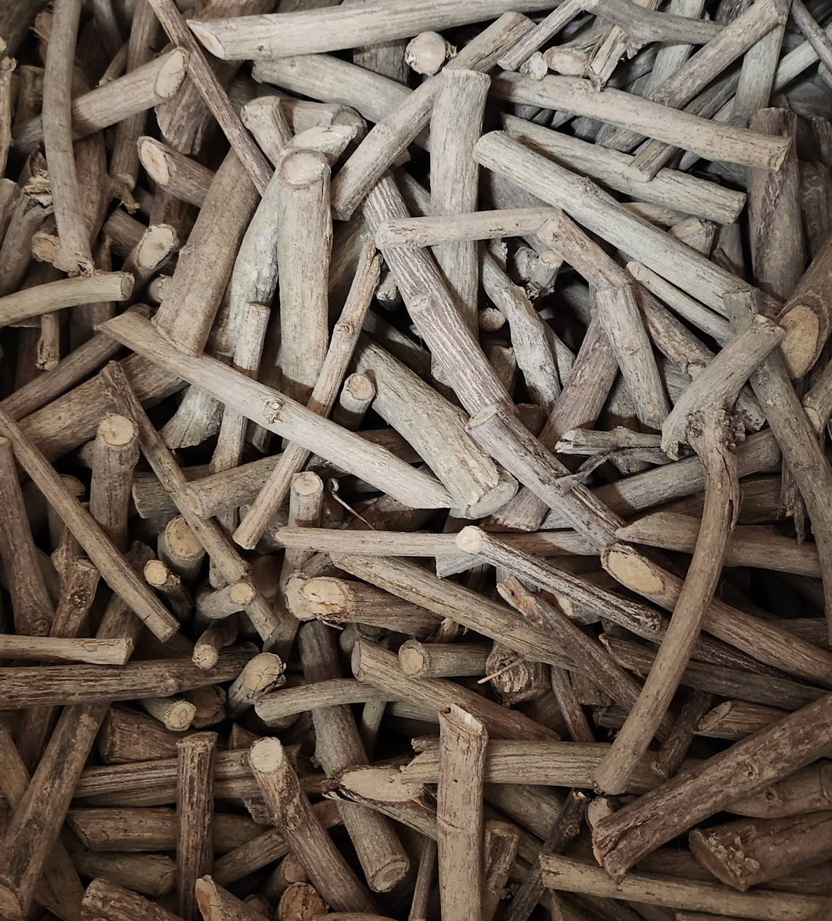 CHEW STICKS - NATURAL MISWAK