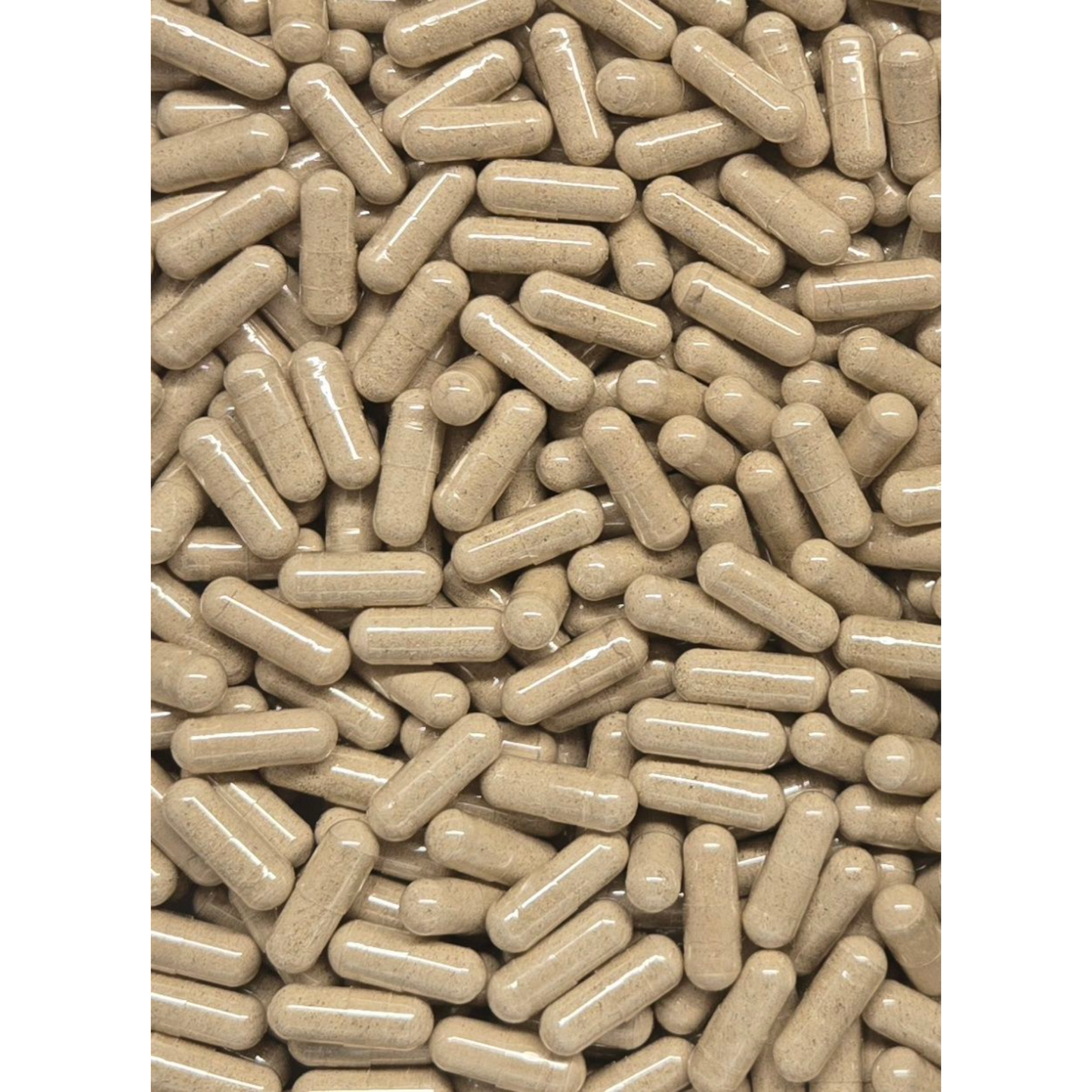 Dandelion Root Capsules - Bulk