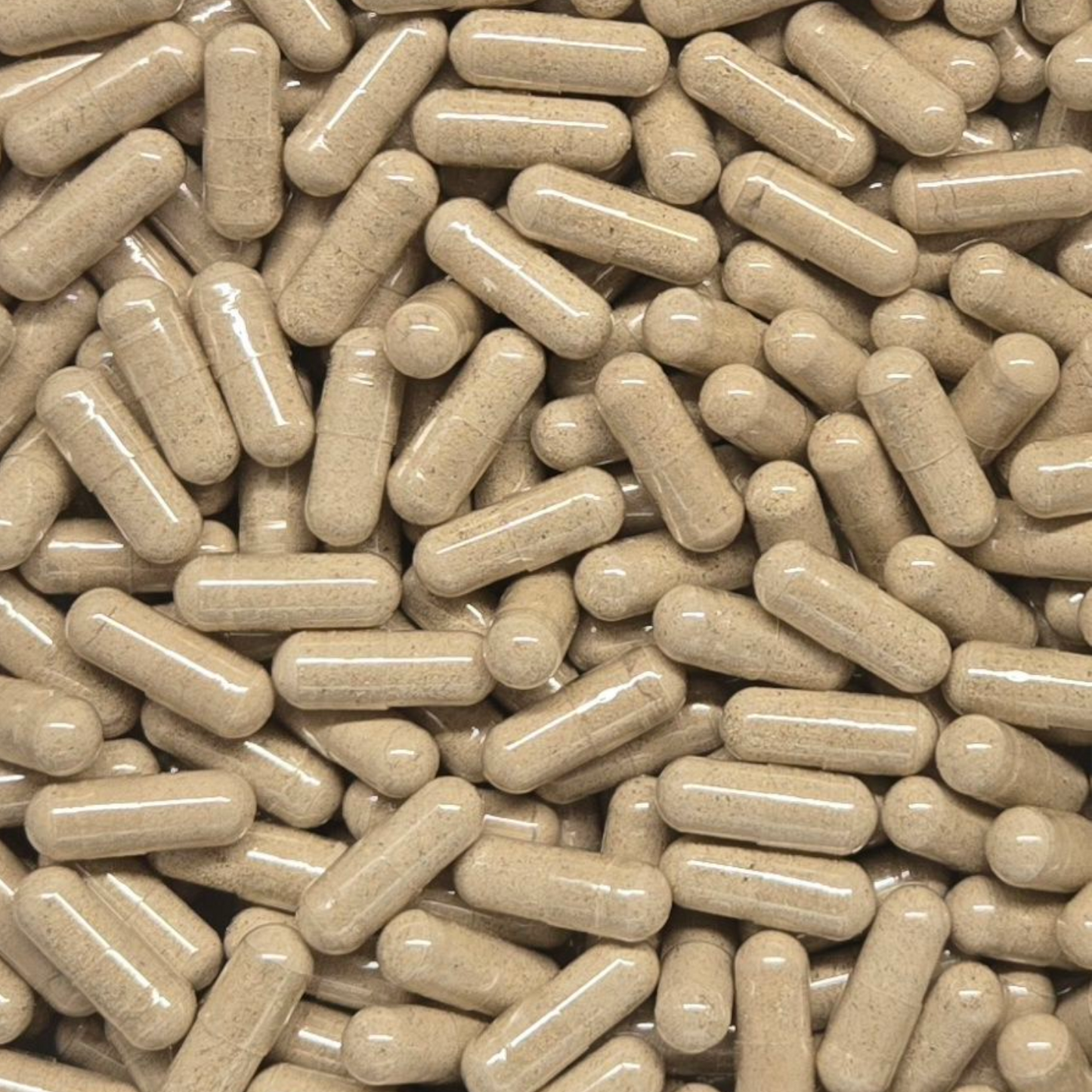 Dandelion Root Capsules - Bulk