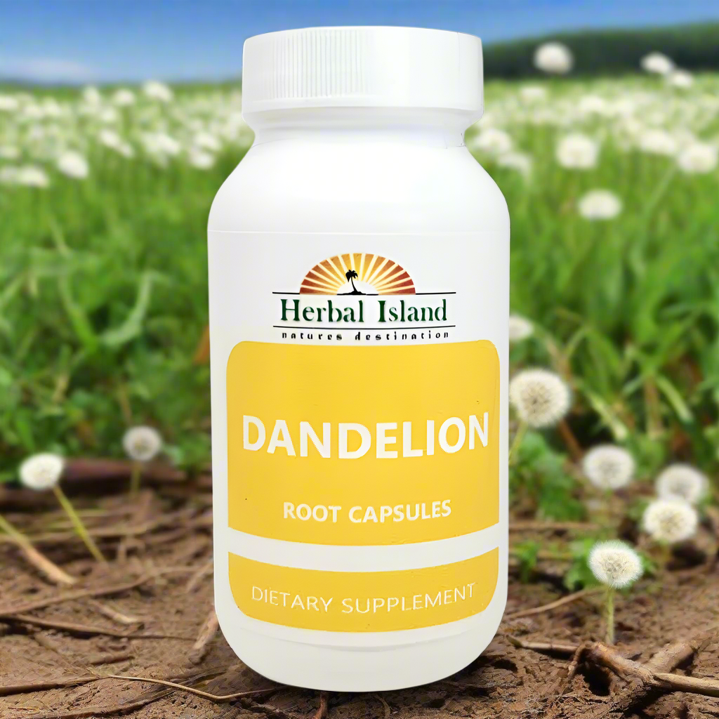 Dandelion Root Powder Capsules (500mg) - Herbal Island