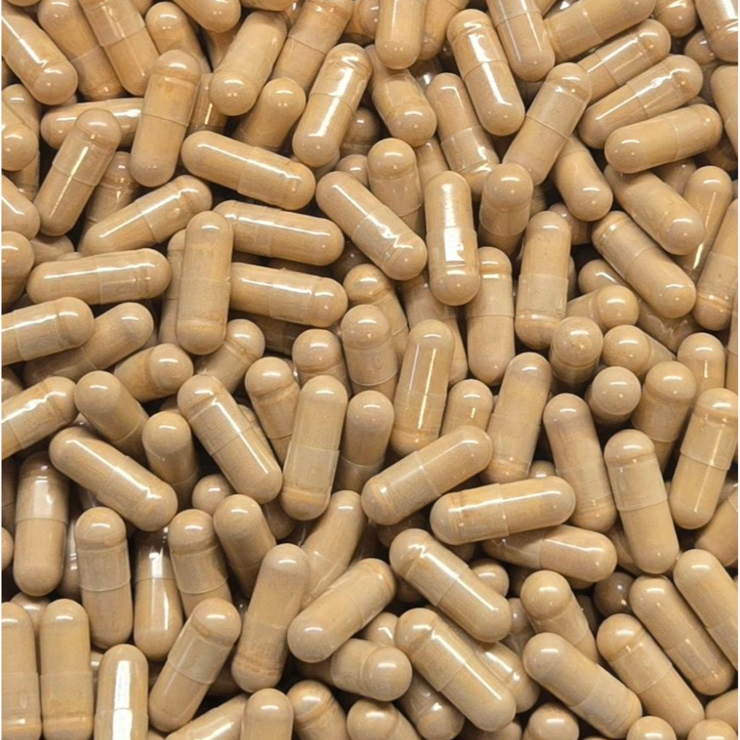 Deer Antler Velvet Extract 4:1 Capsules - Bulk