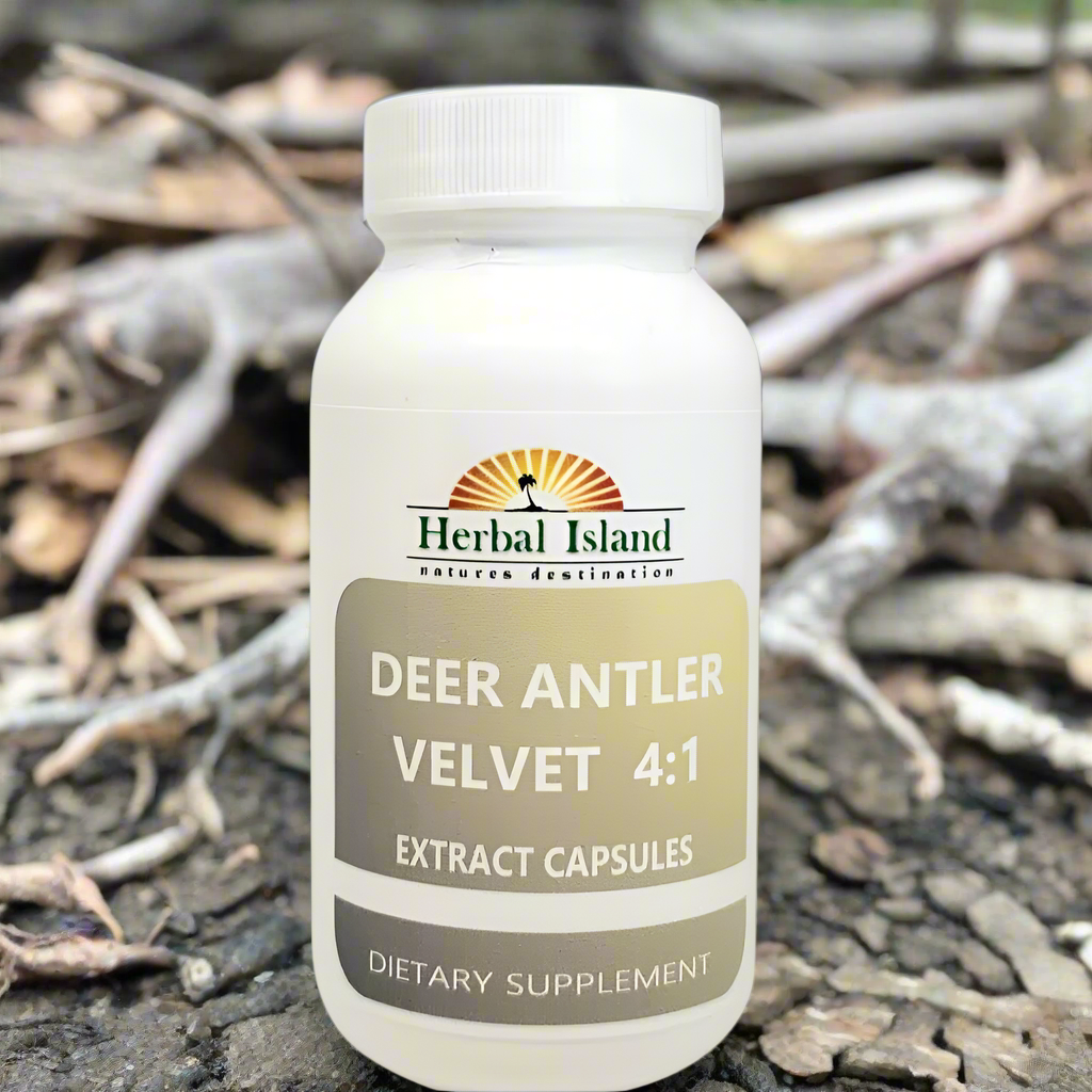 Deer Antler Velvet Extract Powder 4:1 Capsules - Herbal Island