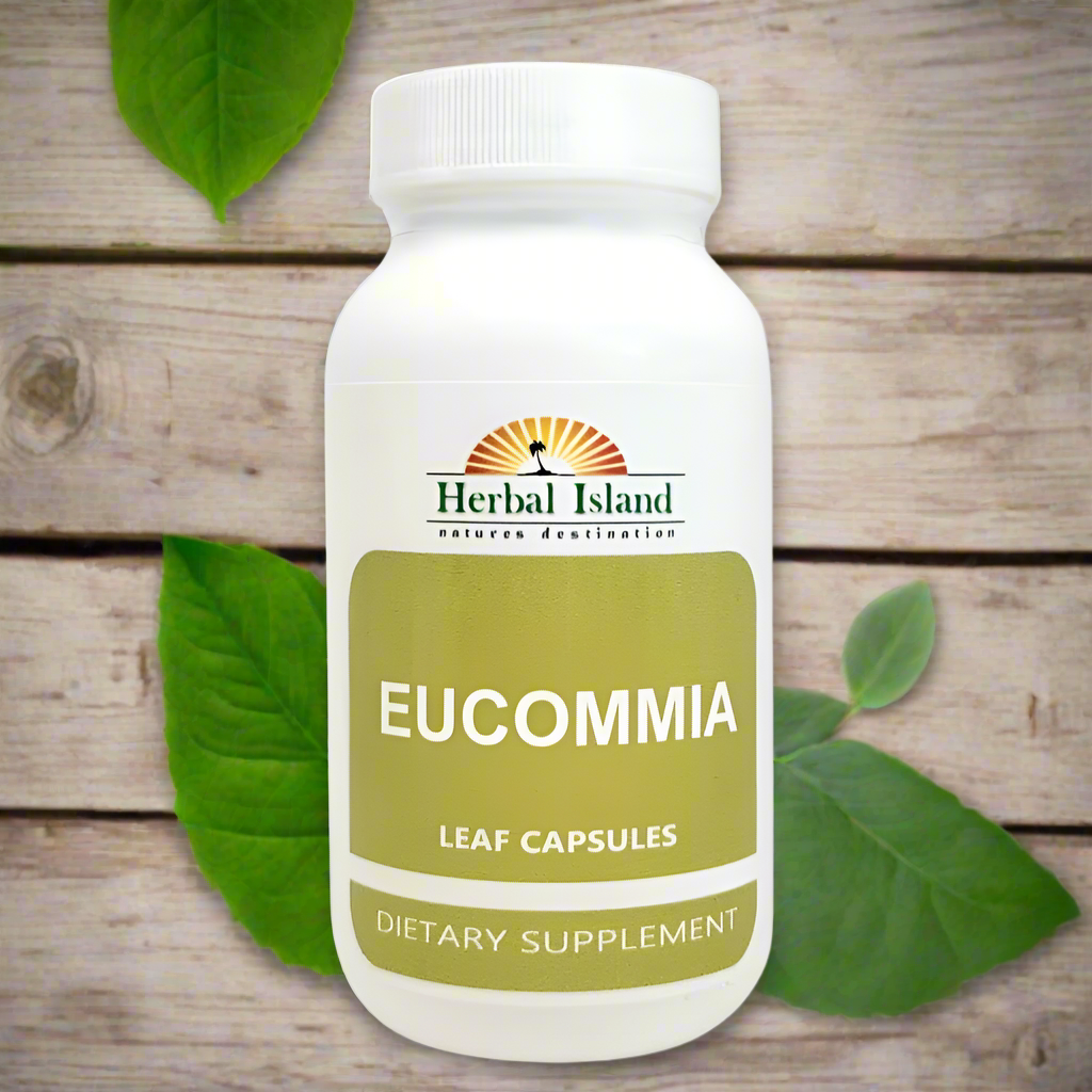 Eucommia Leaf Powder Capsules (500mg Each) - Herbal Island