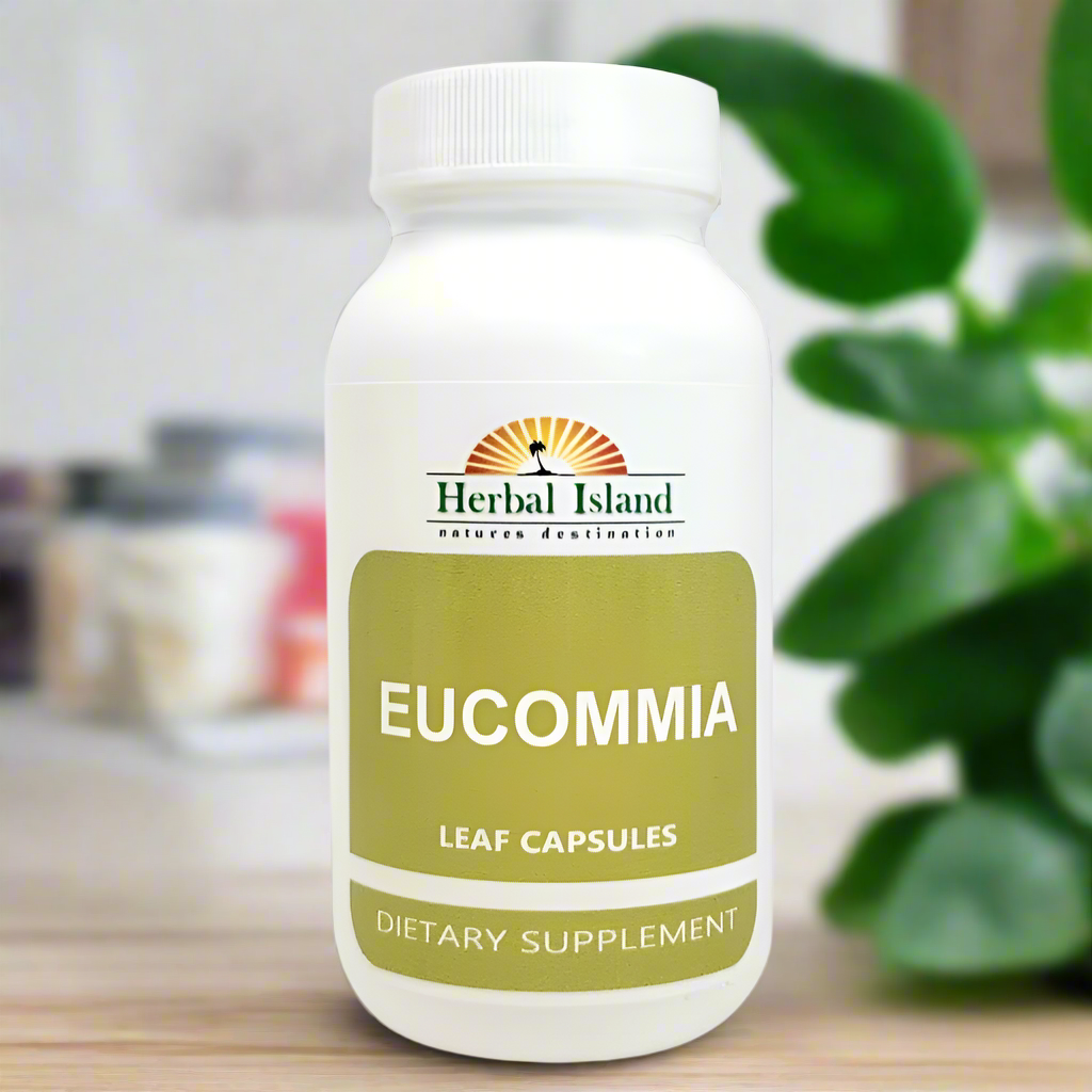 Eucommia Leaf Powder Capsules (500mg Each) - Herbal Island