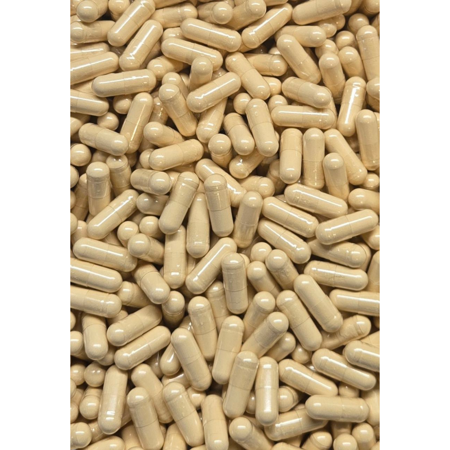 Fenugreek Capsules - Bulk