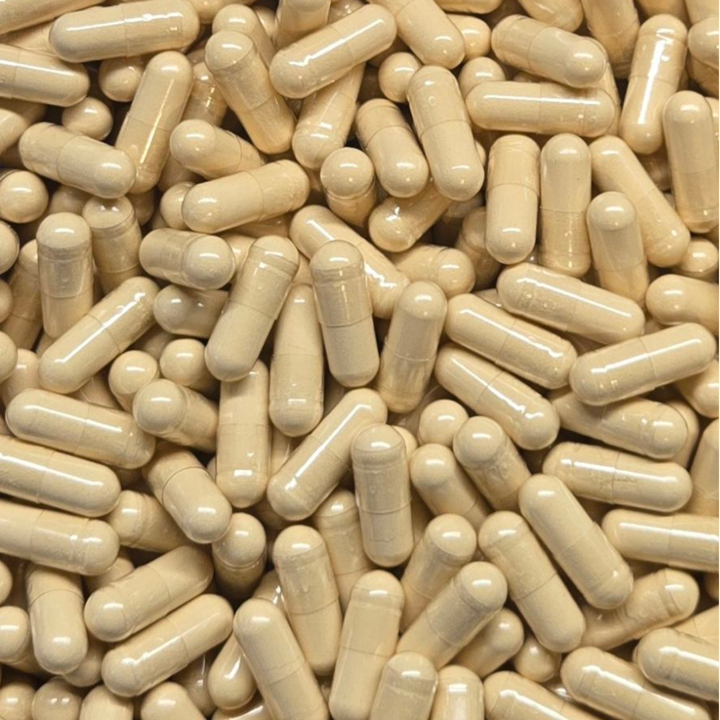 Fenugreek Capsules - Bulk