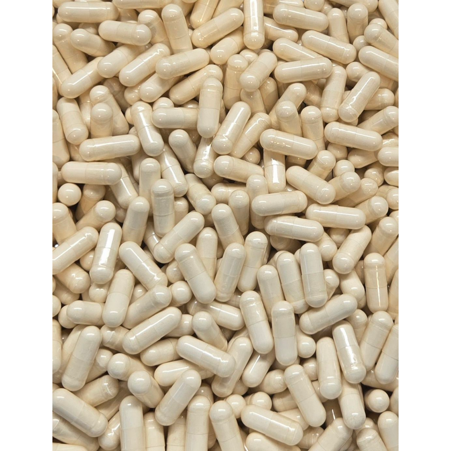 Garcinia Cambogia 60% HCA Extract Capsules - Bulk