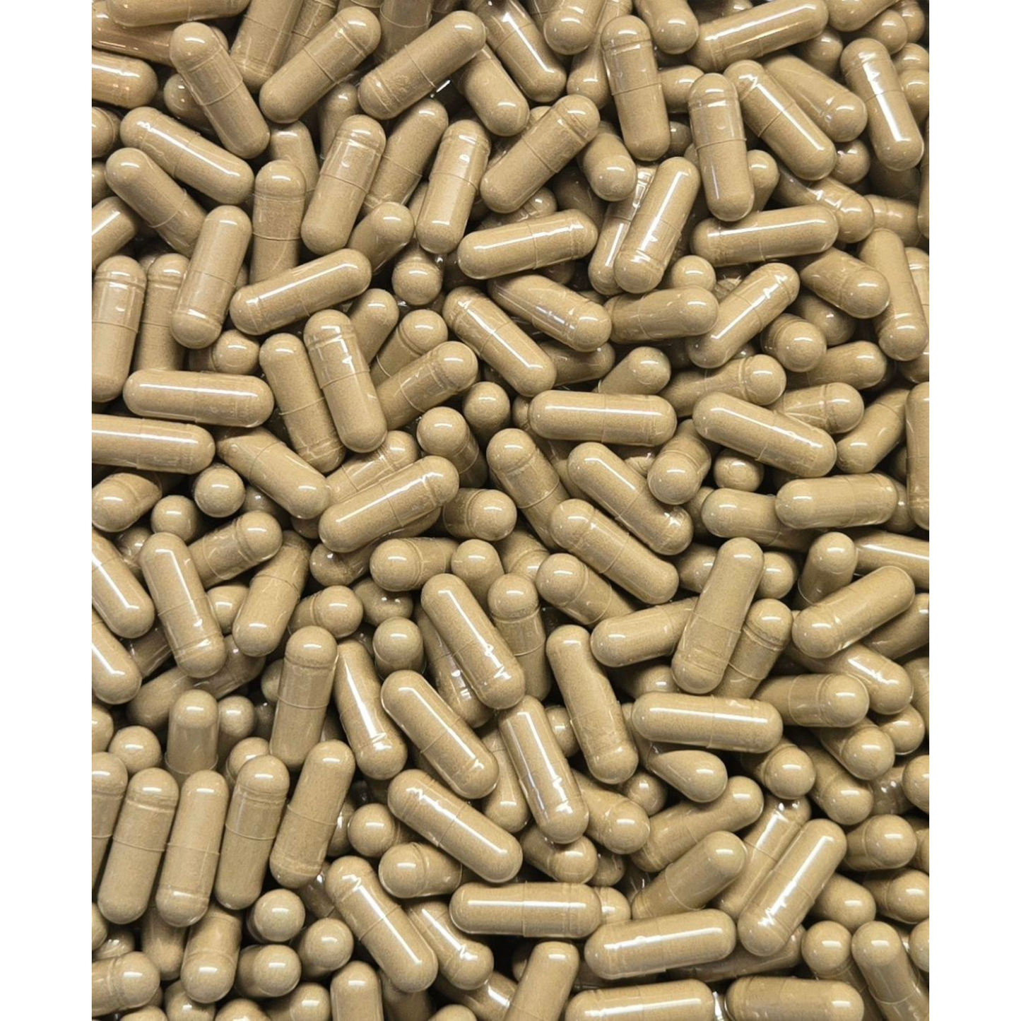 Ginkgo Biloba Leaf Capsules (500mg Each) - Bulk