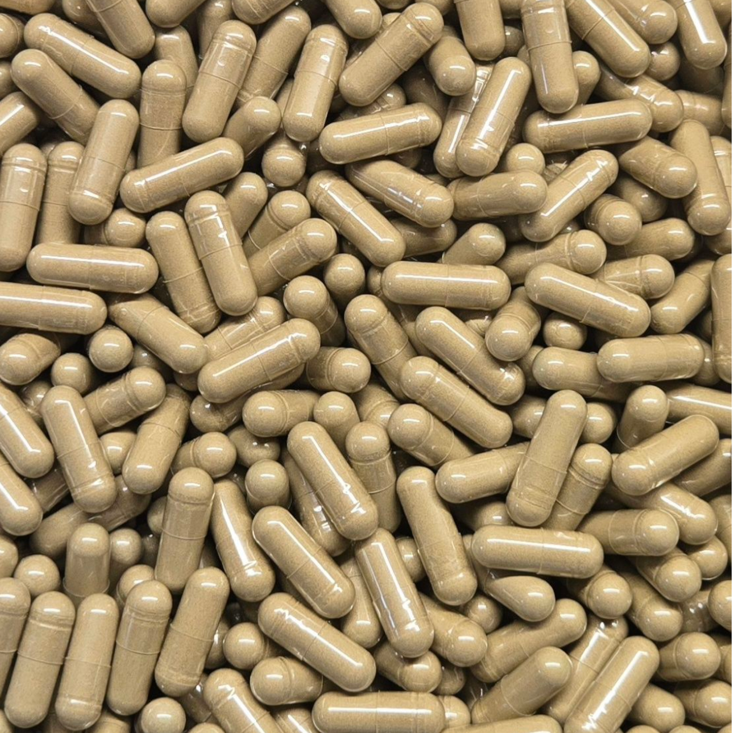 Ginkgo Biloba Leaf Capsules (500mg Each) - Bulk