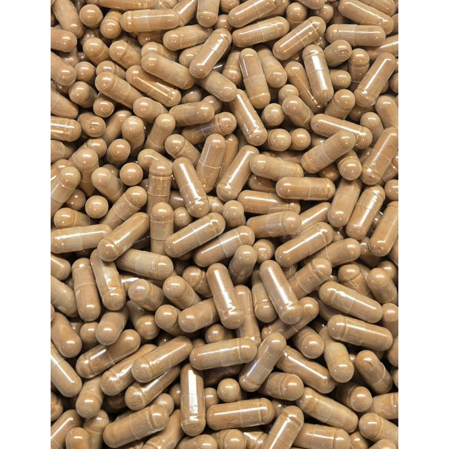 Graviola Capsules - Bulk