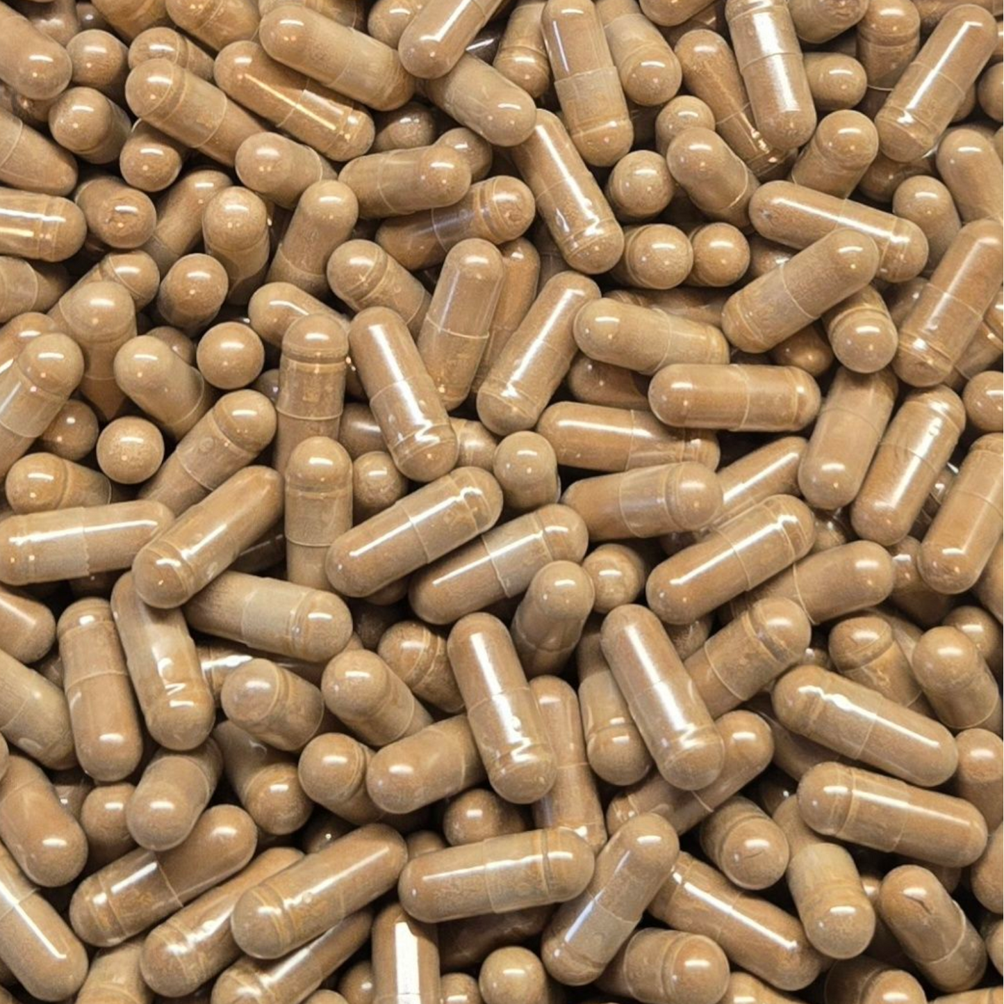 Graviola Capsules - Bulk