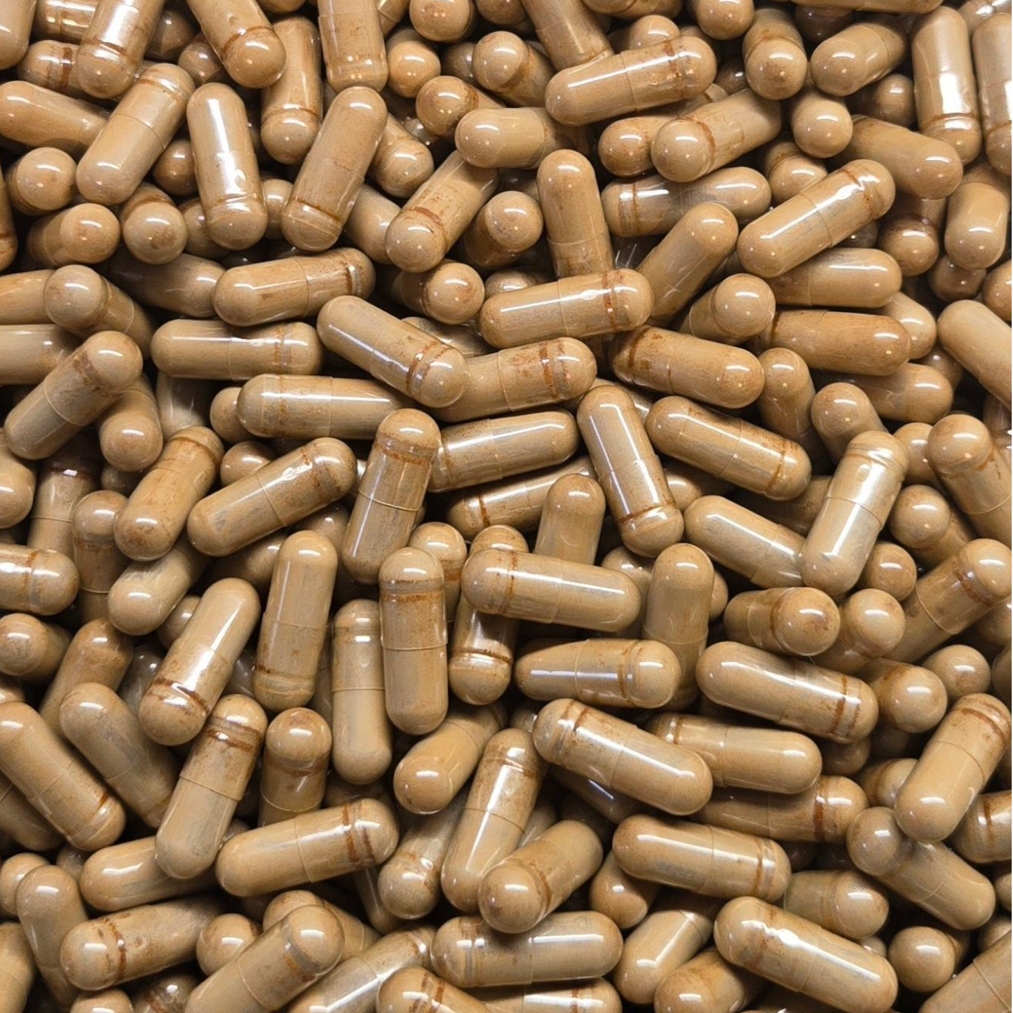 Horny Goat Weed Extract 10:1 Capsules - Bulk