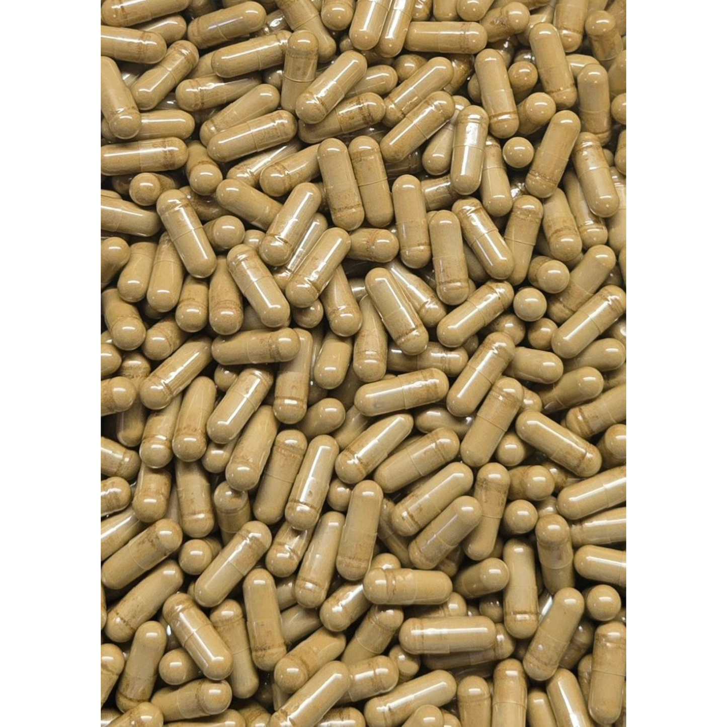 Horny Goat Weed Extract Capsules (20% Icarin) - Bulk