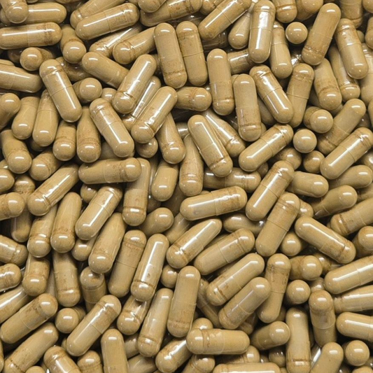 Horny Goat Weed Extract Capsules (20% Icarin) - Bulk