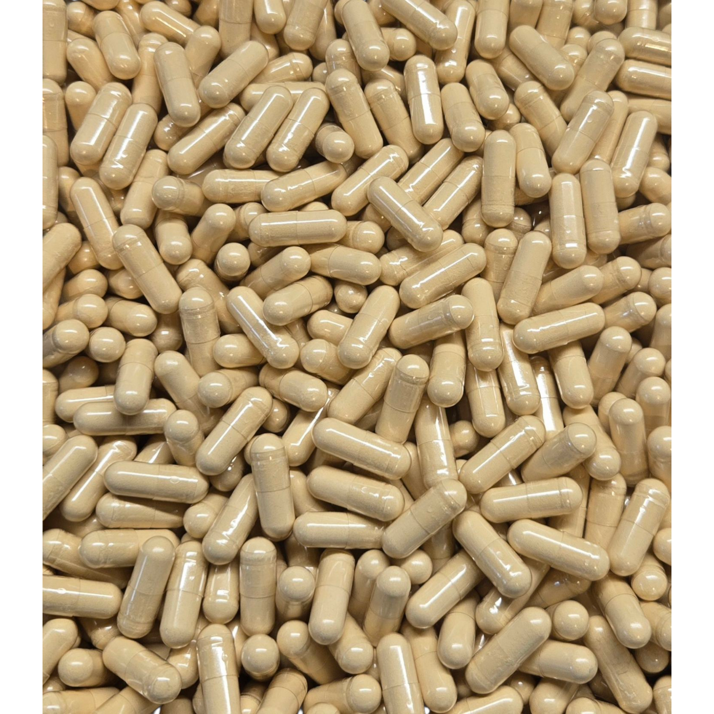 Lion's Mane Mushroom Capsules - Bulk