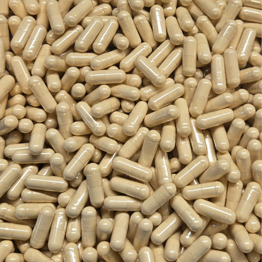 Lion's Mane Mushroom Capsules - Bulk