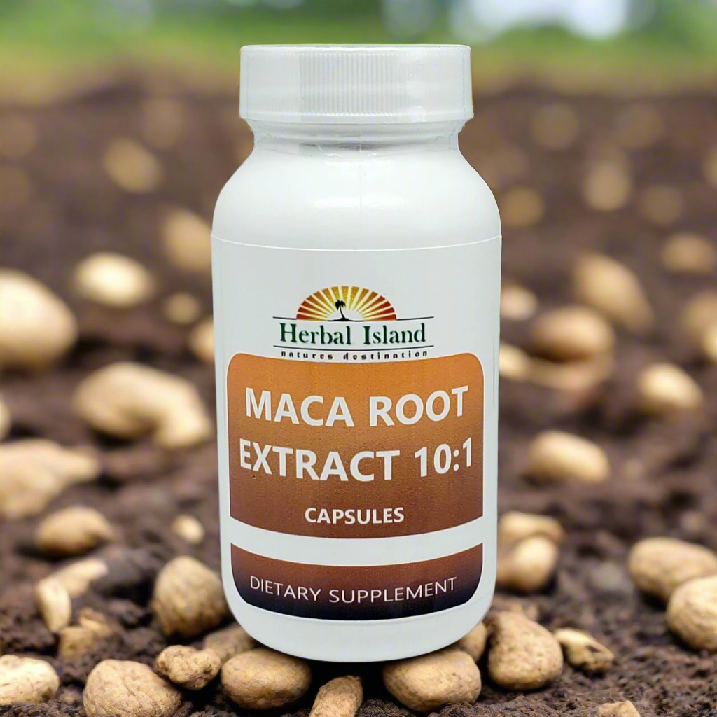Maca Root Extract Powder 10:1 Capsules | Herbal Island