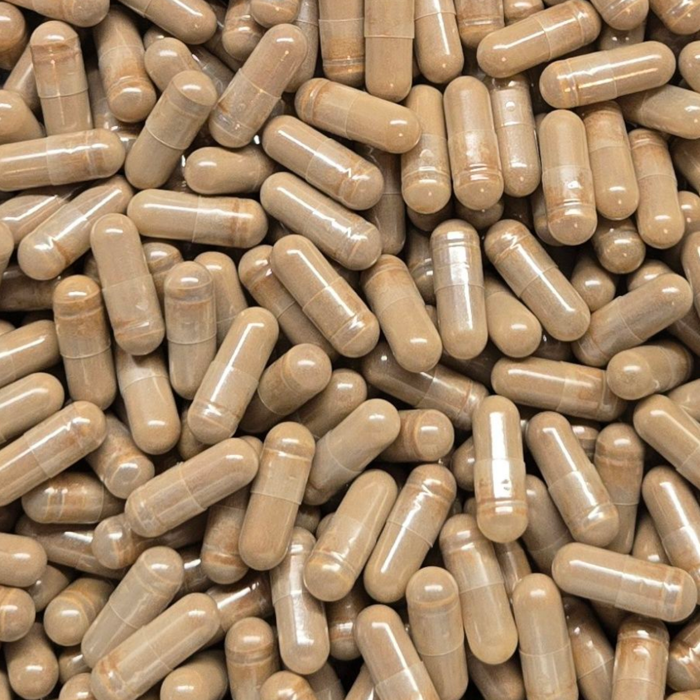 Maca Root Extract 10:1 Capsules - Bulk