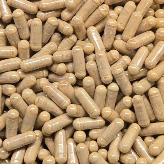 Milk Thistle Seed Capsules - Bulk