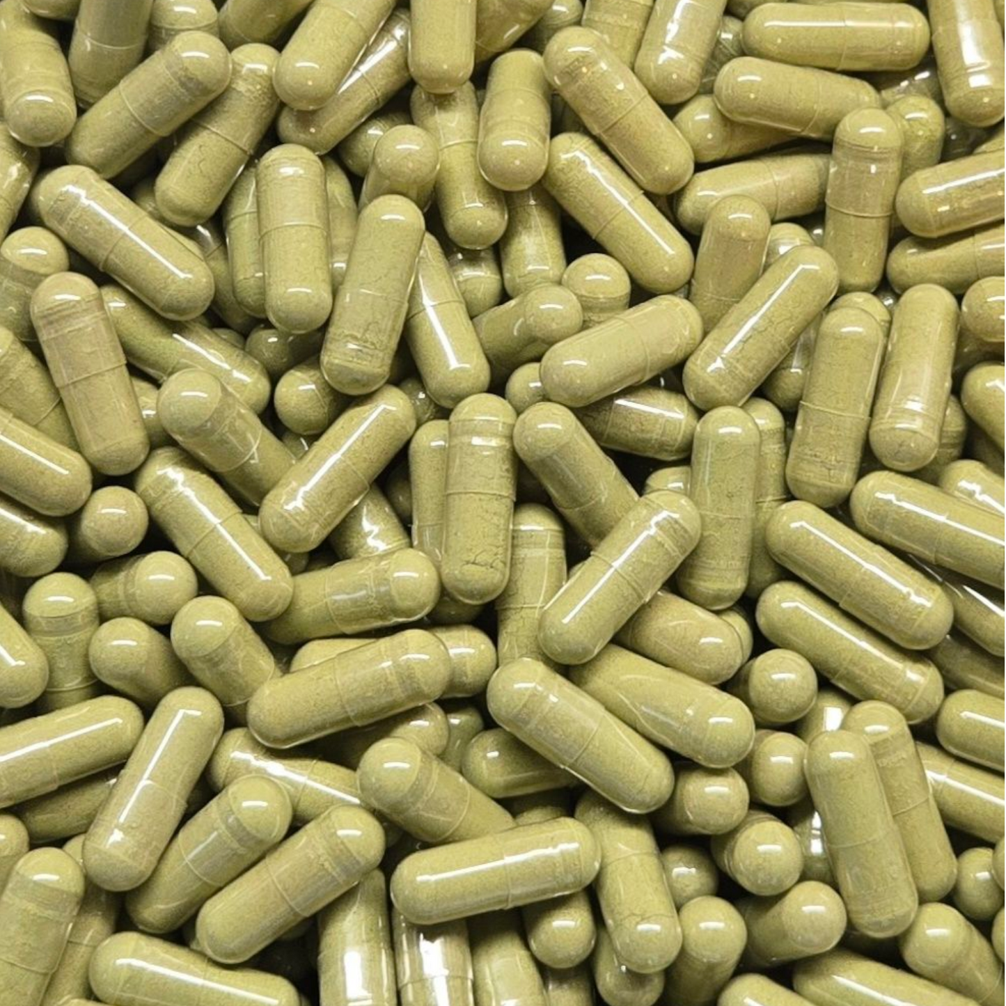 Moringa Leaf Capsules - Bulk