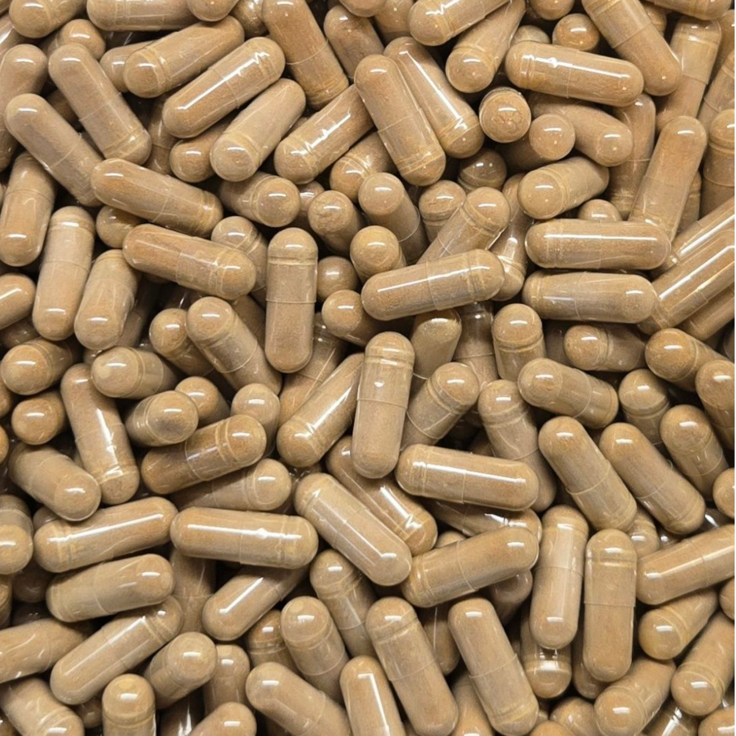 White Mulberry Leaf Extract 4:1 Capsules - Bulk