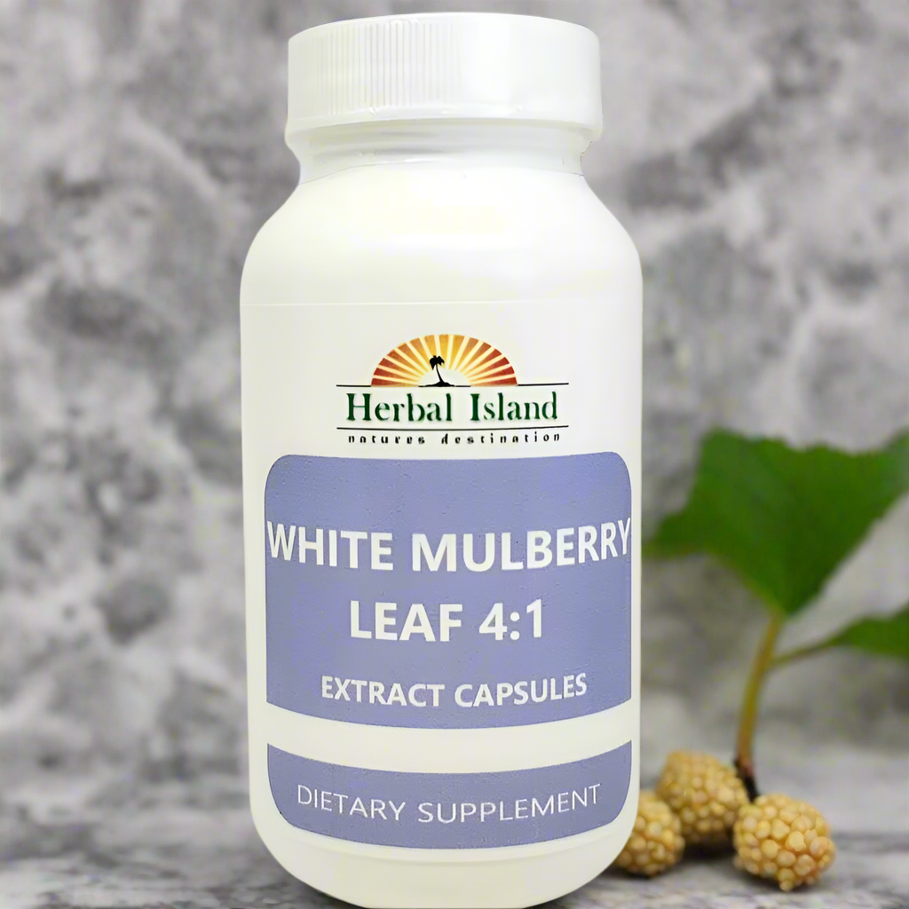 White Mulberry Leaf Extract 4:1 Capsules (500mg Each) - Herbal Island